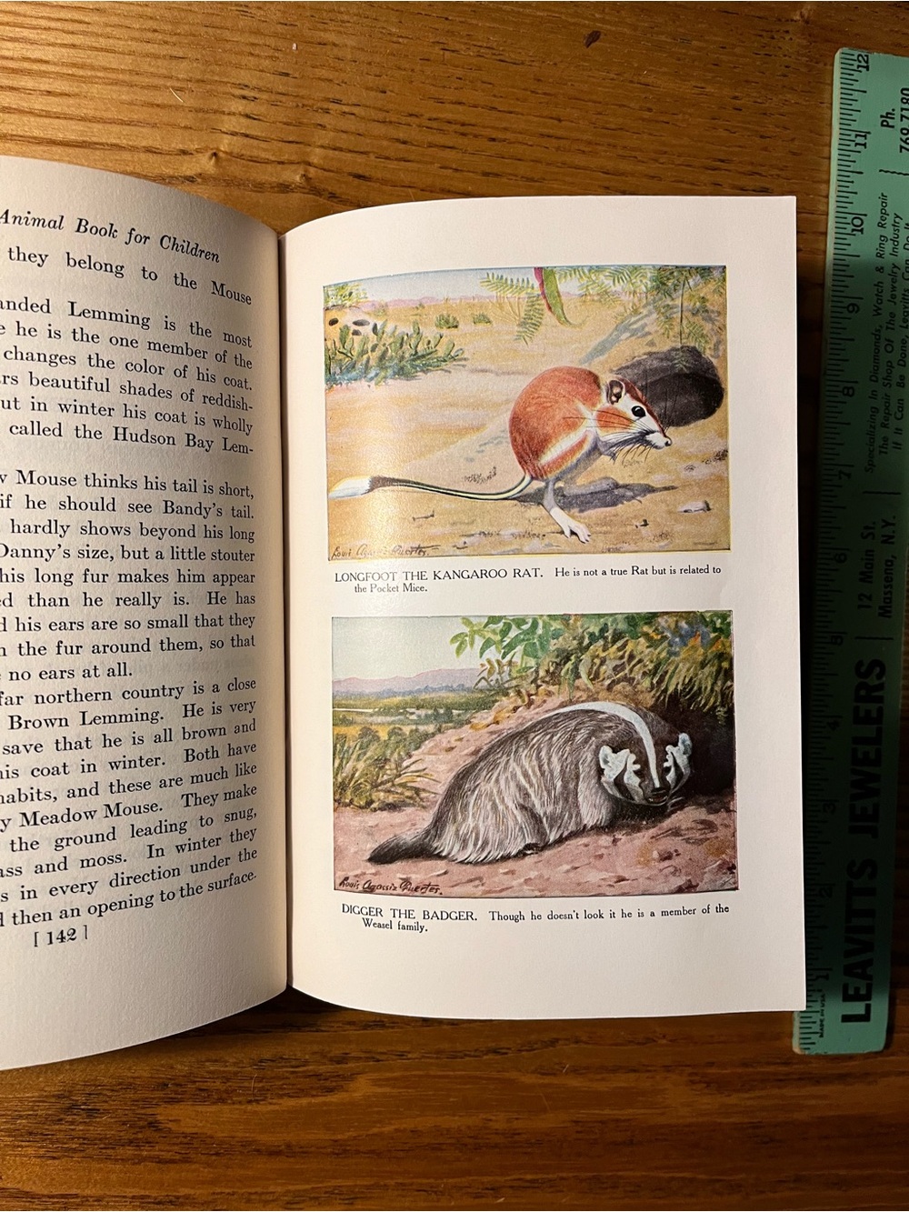 1920 Burgess Animal Book for Children - Hardcover color bookplates - Picture 9 of 16